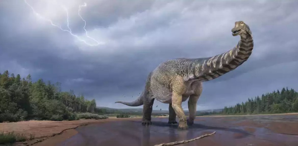 發現於昆士蘭的恐龍現被認定為恐龍新物種及澳洲最大恐龍 @Ya!Travel 野旅行新聞網