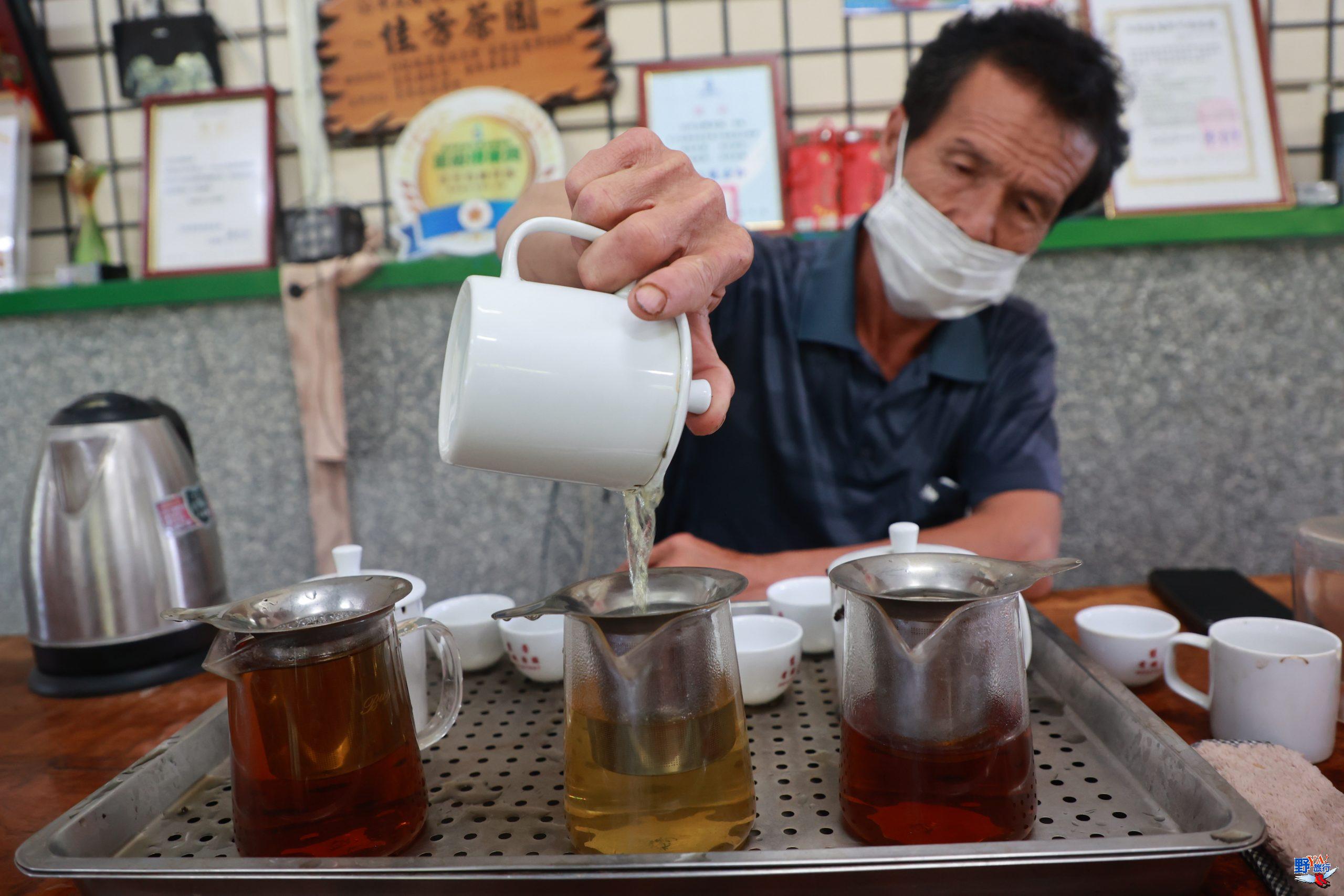 採茶品茗做蛋捲 佳芳有機茶園茶農體驗 @Ya!Travel 野旅行新聞網