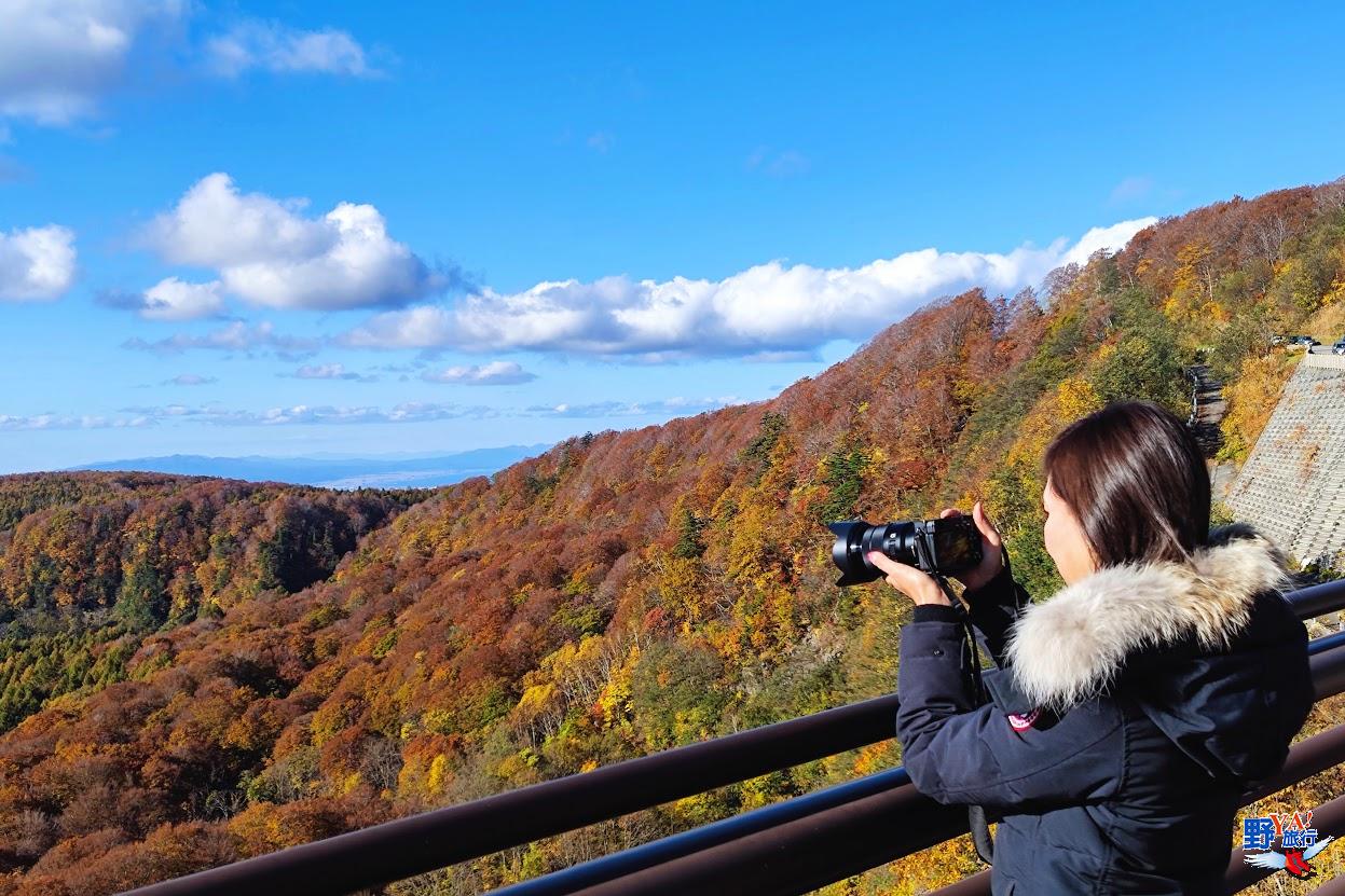 2022日本紅葉最前線 本州最靠北的紅葉景點超迷人 @Ya!Travel 野旅行新聞網