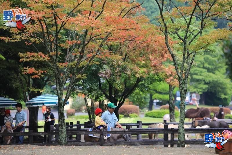 九州自然動物園 親子旅遊最佳景點 @Ya!Travel 野旅行新聞網