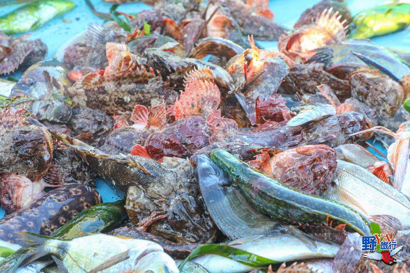 法國馬賽港逛市集嚐馬賽魚湯 盡情享受地中海的慵懶氛圍 @Ya!Travel 野旅行新聞網