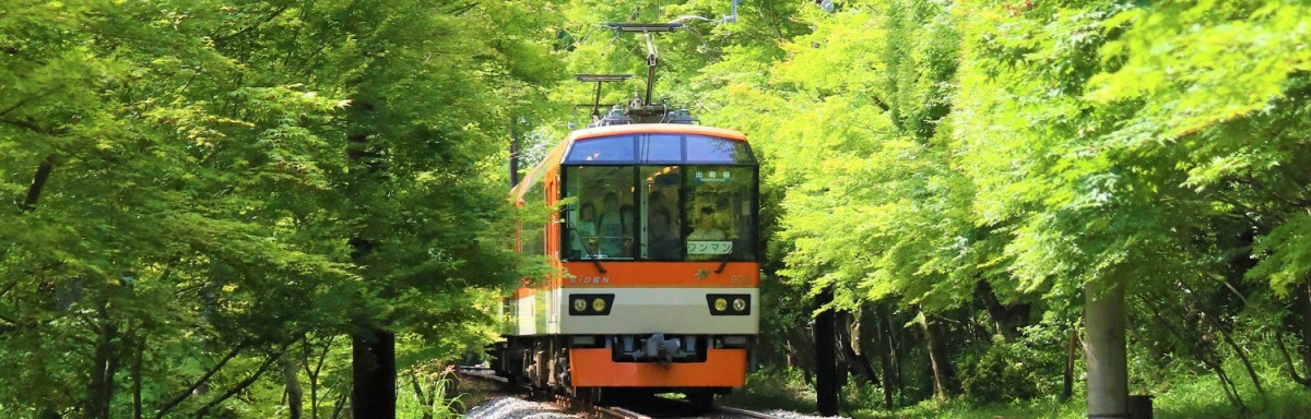 春假前往京都遊玩的京都迷注意囉！ 2023年京都交通、觀光及參拜設施4月最新漲價資訊 @Ya!Travel 野旅行新聞網