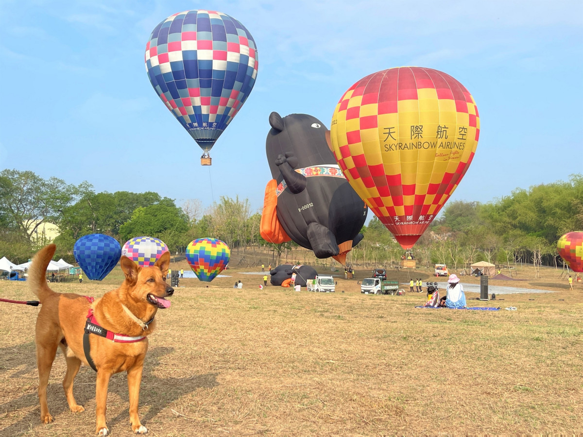 2023西拉雅森活節 熱氣球、毛孩、光雕秀  西拉雅好chill @Ya!Travel 野旅行新聞網