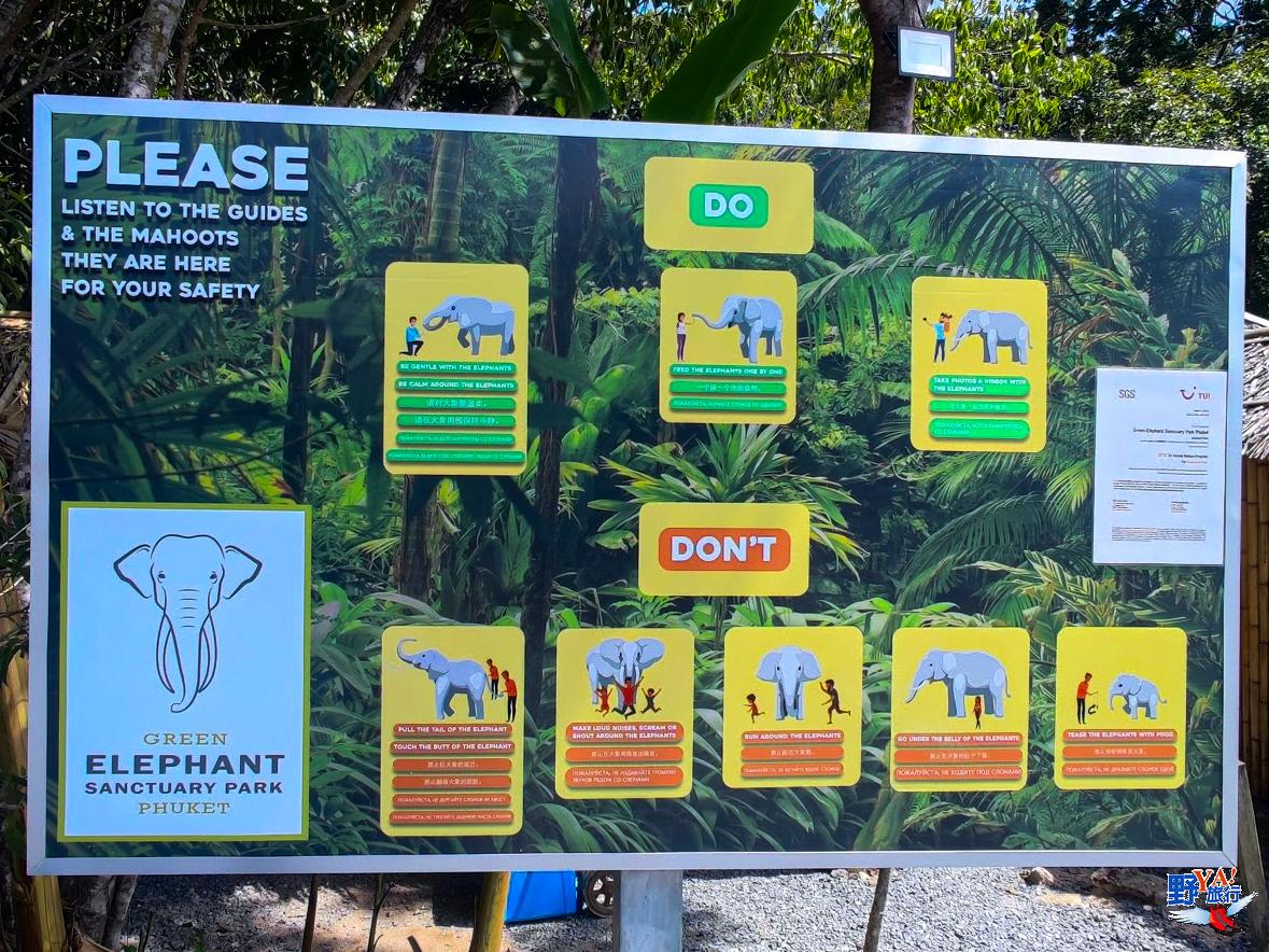 普吉島綠色大象保護區公園 與大象共浴超好玩 @Ya!Travel 野旅行新聞網