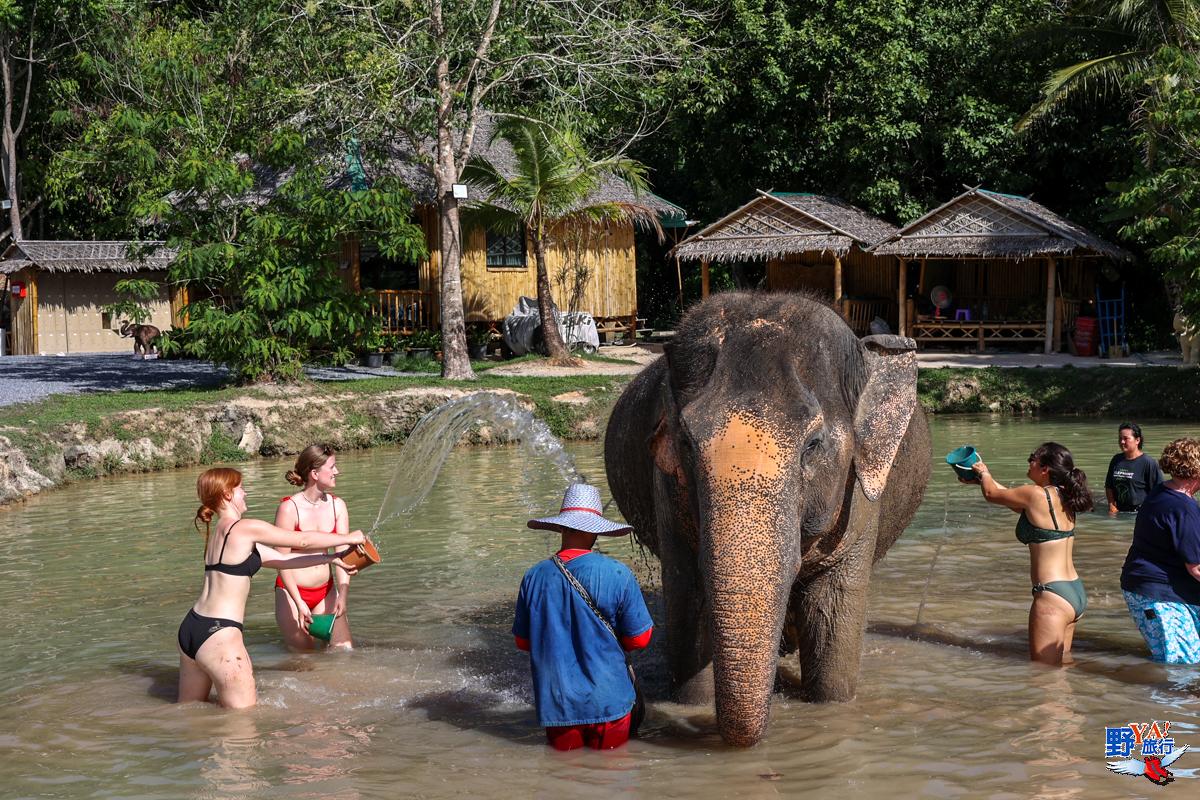 普吉島綠色大象保護區公園 與大象共浴超好玩 @Ya!Travel 野旅行新聞網