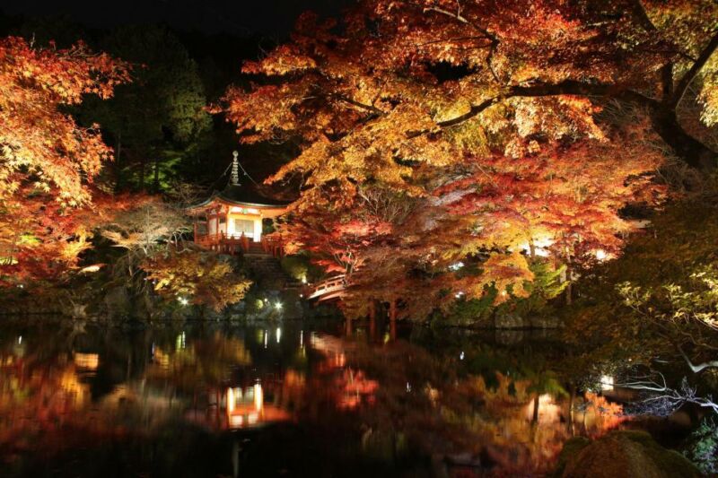日本京都人氣賞楓景點及夜間點燈等期間限定活動看這裡 @Ya!Travel 野旅行新聞網